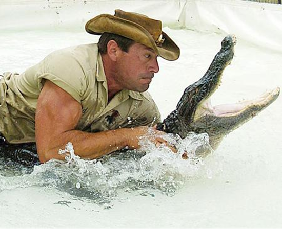 Gator Wrestling